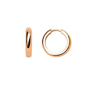 Juwelier Schell 164686 Xenox Creolen XS8661R