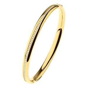 Juwelier Schell 177359 Ernstes Design Armreif Funkelnde Linie Poliert Mittel A652.MI