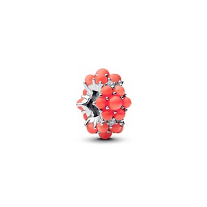 Juwelier Schell 177689 Pandora Moments Charm Korallenperlen 793897C01