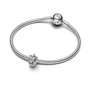Pandora Moments Charm Unendlichkeitsknoten – Bild 3