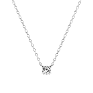 Juwelier Schell 177868 Xenox Kette mit Zwischenteil Pure Essentials Doppelkrappe Groß XS10601