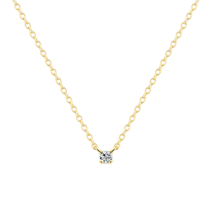 Juwelier Schell 177867 Xenox Kette mit Zwischenteil Pure Essentials Doppelkrappe Klein XS10600G