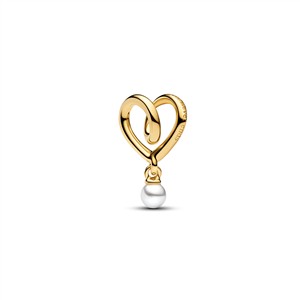 Juwelier Schell 179212 Pandora Moments Charm Familienliebe 764138C01