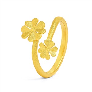 Juwelier Schell 179036 Bernd Wolf Offener Ring Kleenias 5310001506-056