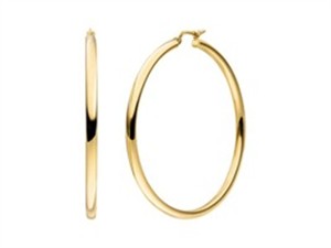 Juwelier Schell 170203 Elaine Firenze Creolen poliert 1113113E