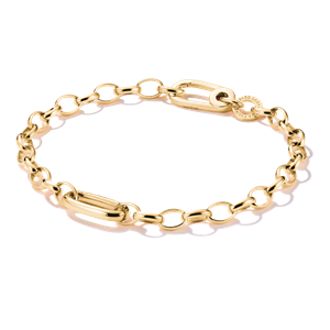 Juwelier Schell 177732 Thomas Sabo Charm Armband Klassisch mit einem Connect-Link C1202-413-39-L17