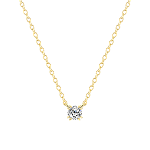 Juwelier Schell 177869 Xenox Kette mit Zwischenteil Pure Essentials Doppelkrappe Groß XS10601G