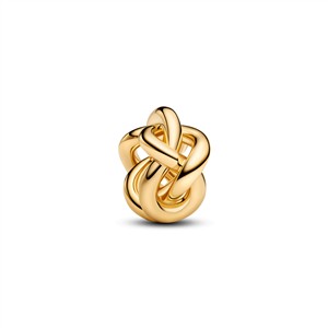 Juwelier Schell 177271 Pandora Moments Charm Unendlichkeitsknoten 763755C00