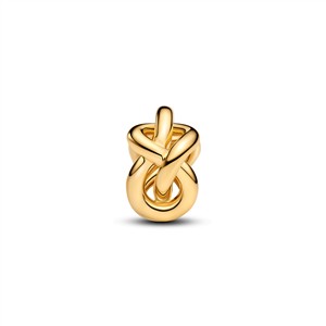 Pandora Moments Charm Unendlichkeitsknoten – Bild 2