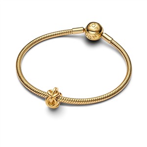Pandora Moments Charm Unendlichkeitsknoten – Bild 3