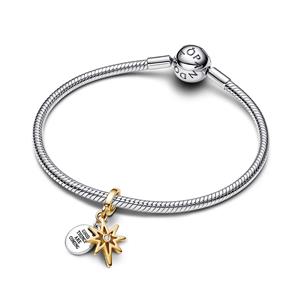 Pandora Moments Charm Polarstern & Gravurplatte – Bild 3
