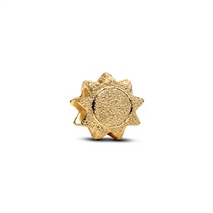 Juwelier Schell 178143 Pandora Moments Mini-Charm Sonne 764052C00