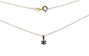 Juwelier Schell 180609 Wilhelm Müller Collier Blume 247111119