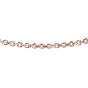Juwelier Schell 142317 Ernstes Design Ankerkette AK16.45
