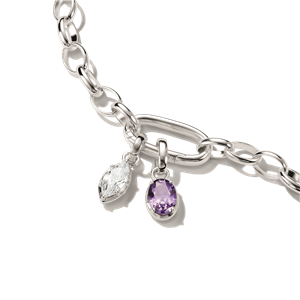 Thomas Sabo Charm Geburtsstein Februar – Bild 3
