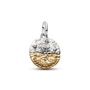 Pandora Me Charm Sternzeichen Steinbock Klein – Bild 2