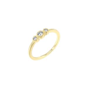 Juwelier Schell 177891 Xenox Ring Pure Essentials Trio XS10613G/54