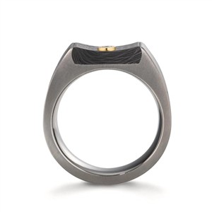 TeNo Ring TX – Bild 2